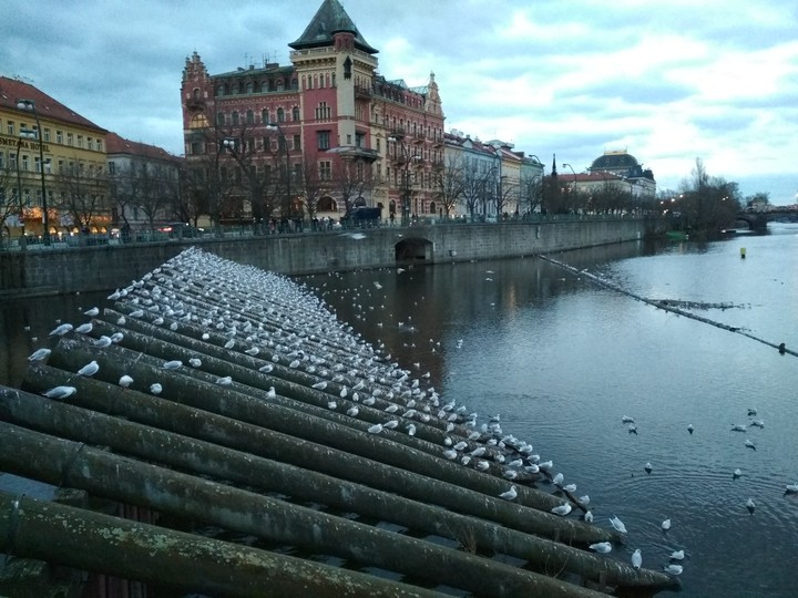 Prague