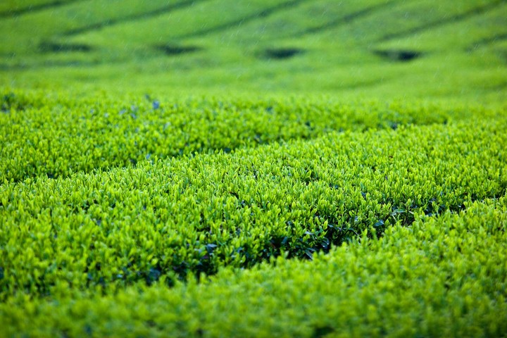 green