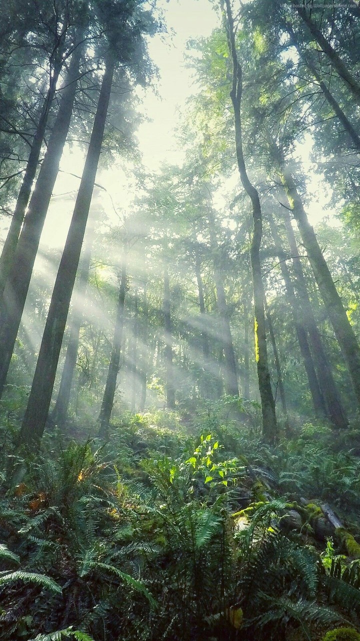 Nature...  nice