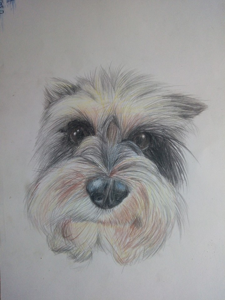 maggie