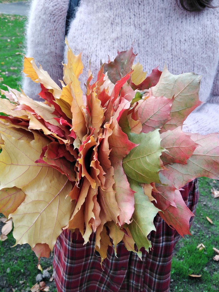 autumncolors