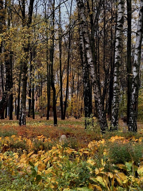 tapety grove, Yellow
