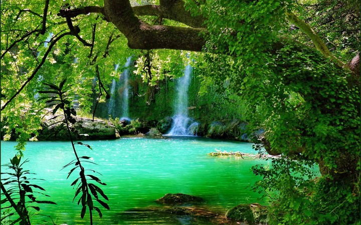 natural image