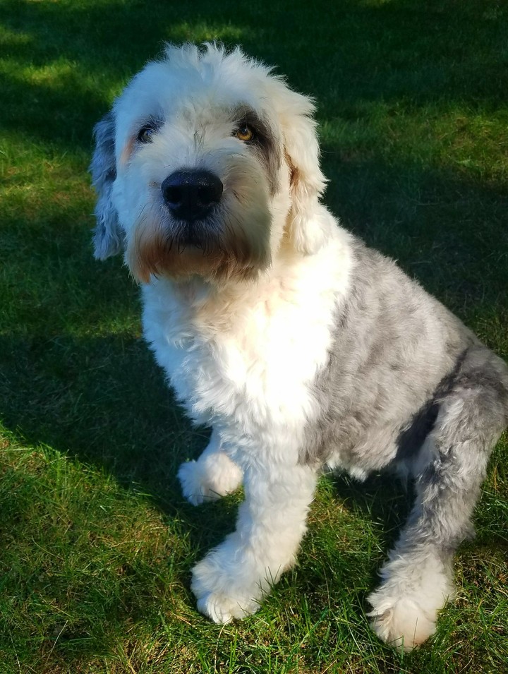 annie