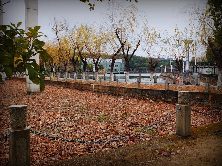 winter