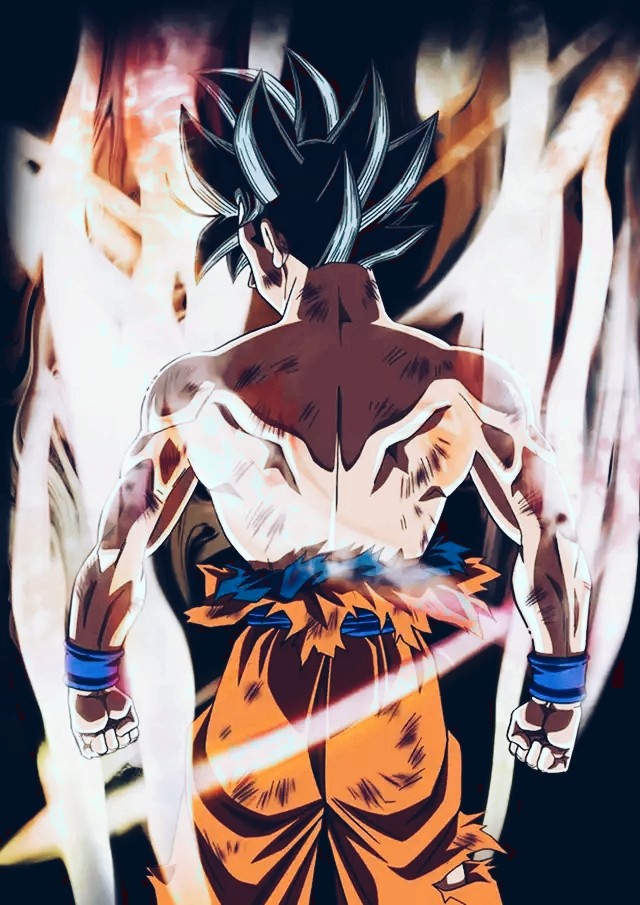 Goku New Form back