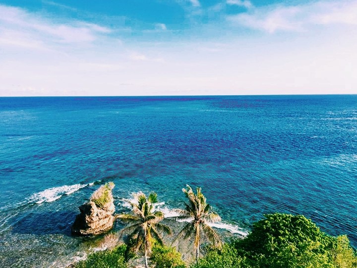 Sea's the day