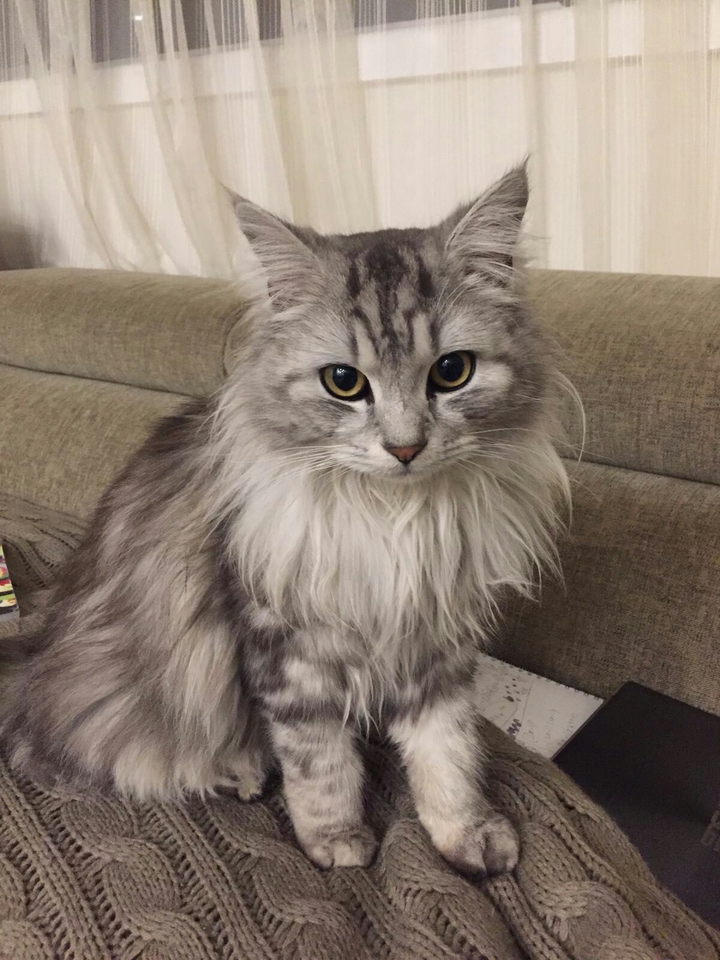 Just look at this gorgeous thing