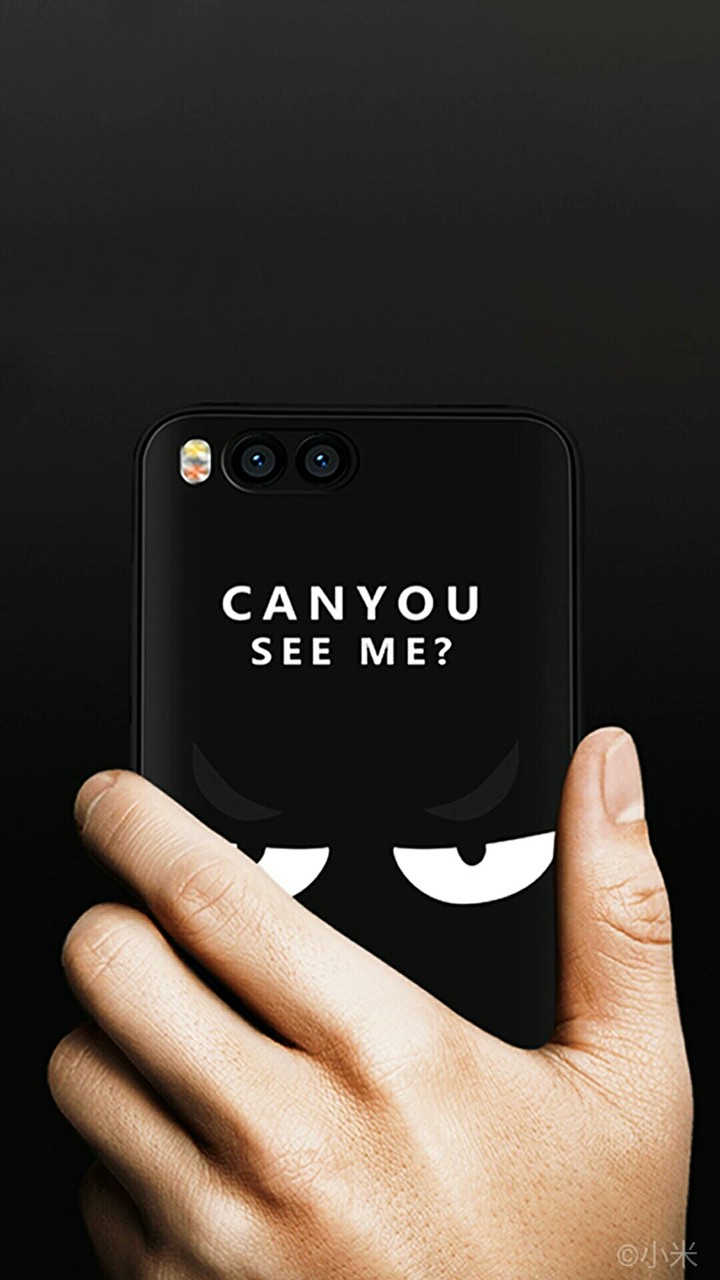 Can you see me?