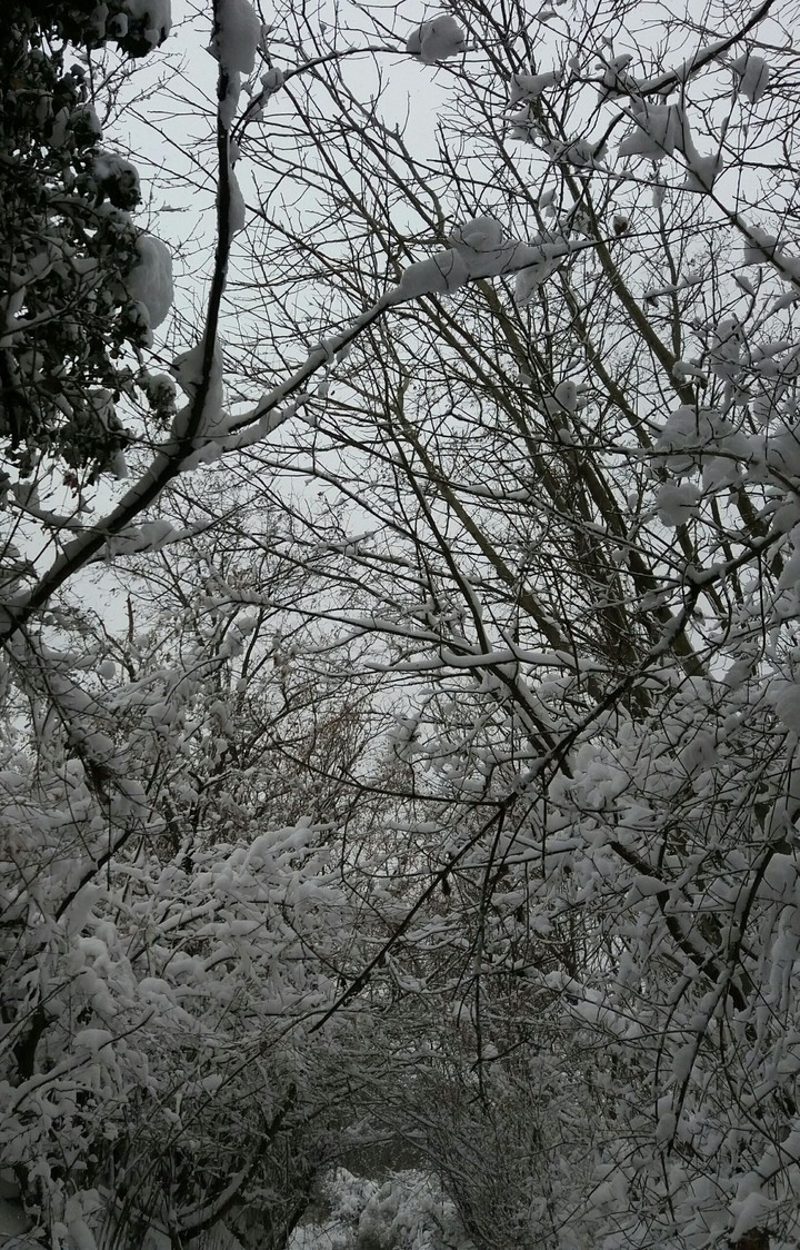 Winter❄❄
