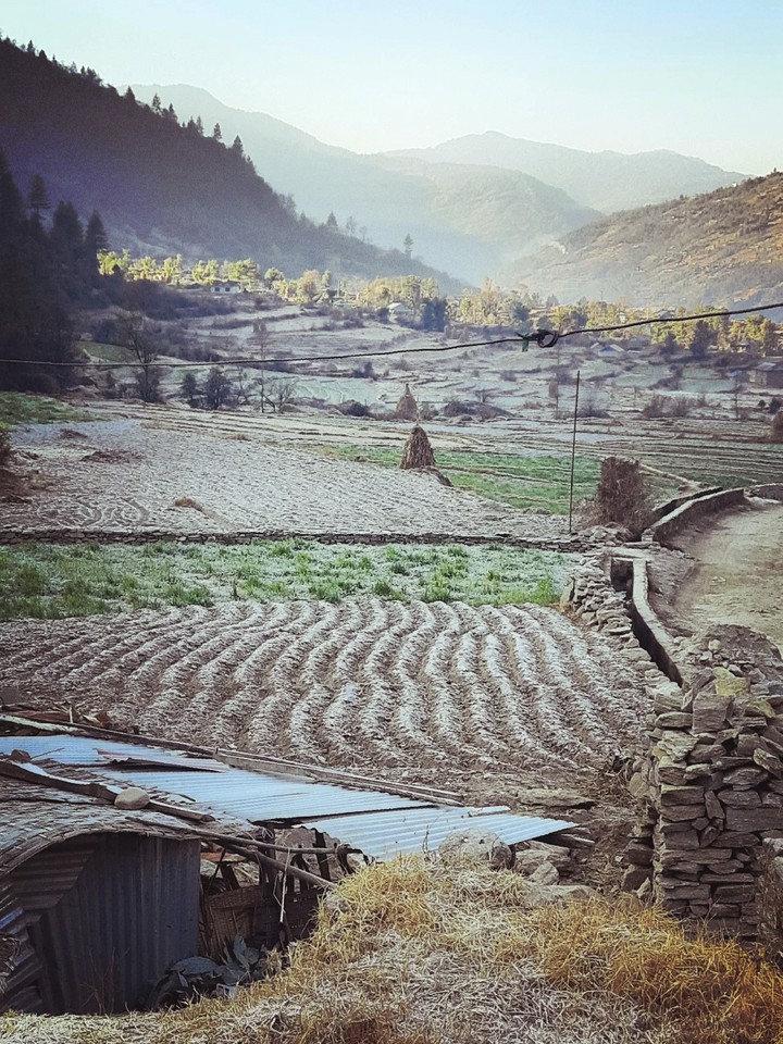 Remote Nature