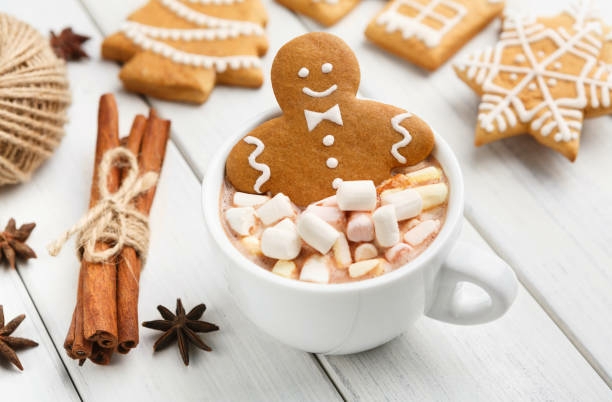 gingerbread and marshmallow cocoa