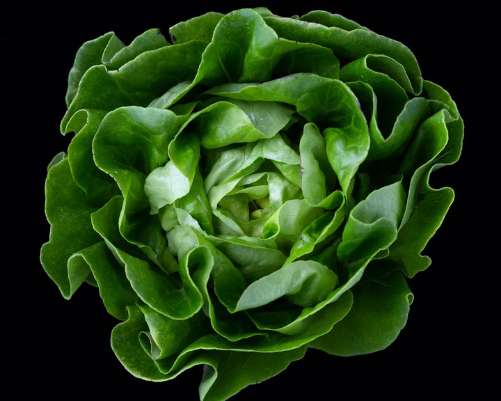 Cabbage...