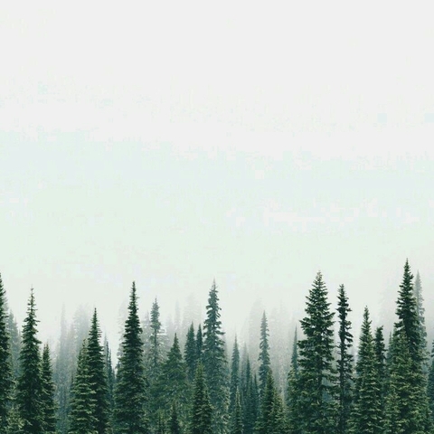silence 2