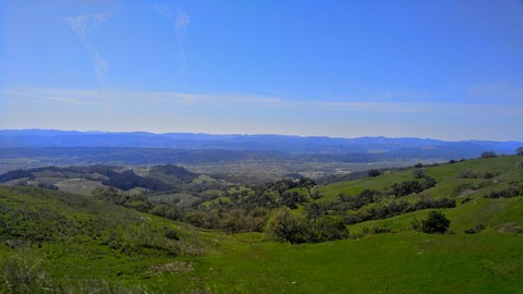 great view