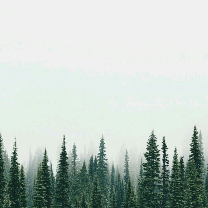 silence 2