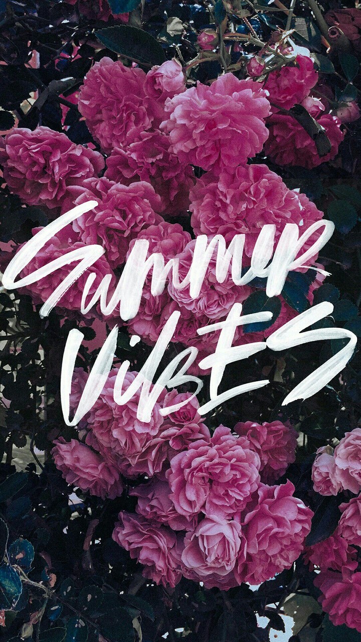 summer vibes