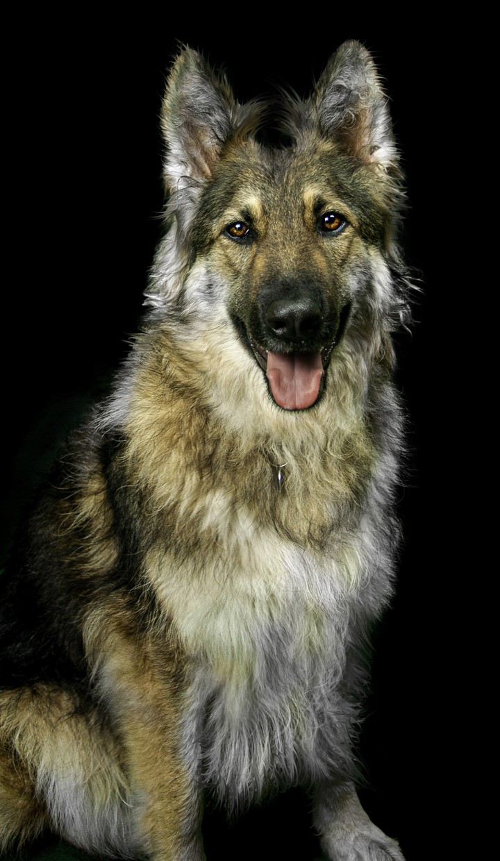 roxy