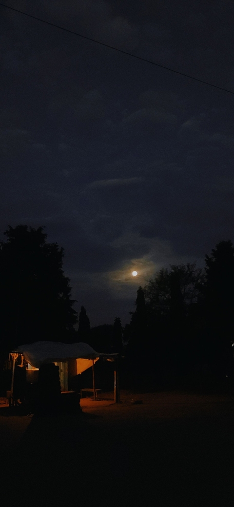 moon in morning