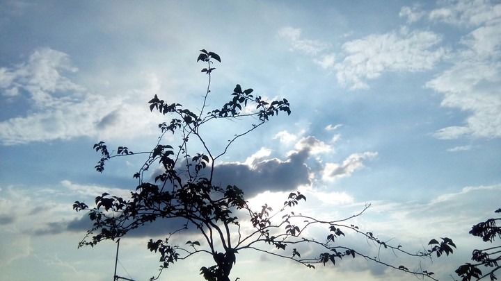 sky