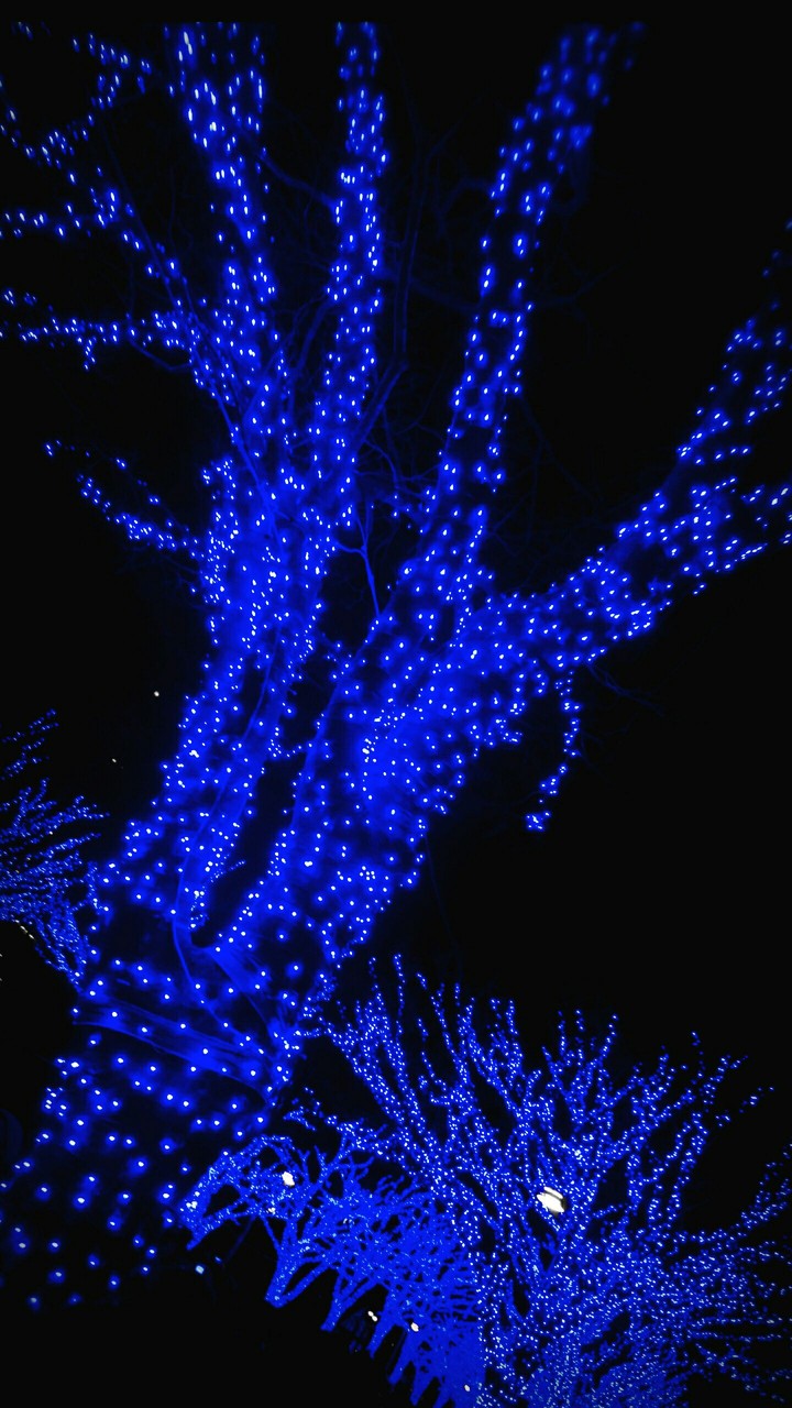 The Blue Christmas