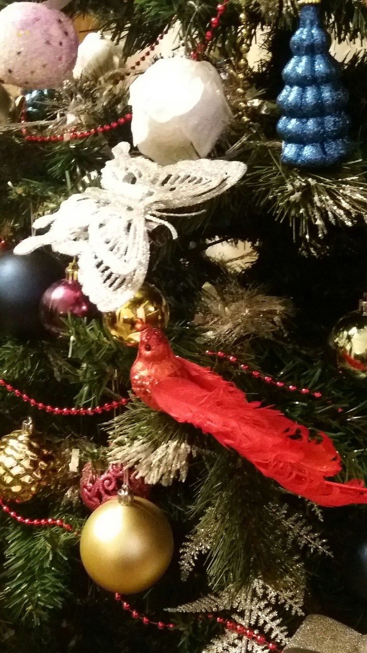 shristmas