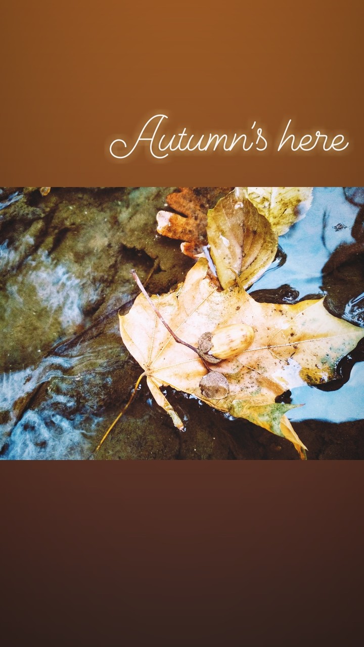 #autumn