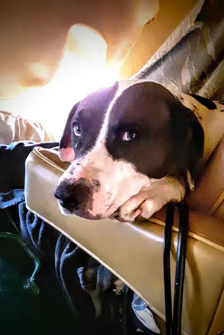 LeeLoo