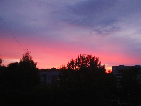 обои evening, nature