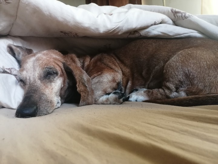 sleepy
