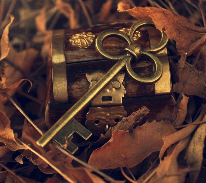 unlock the treasure