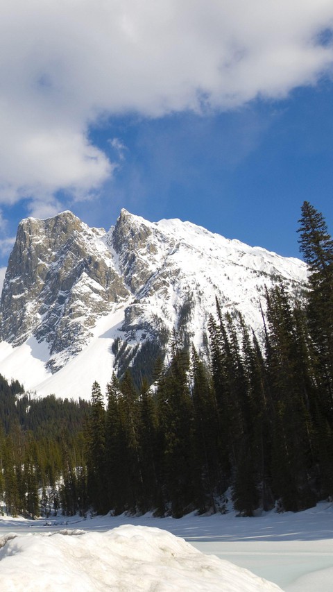 alps, Wilderness achtergronden