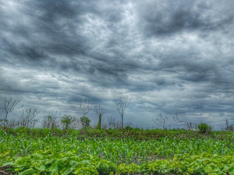 Heavily Clouded