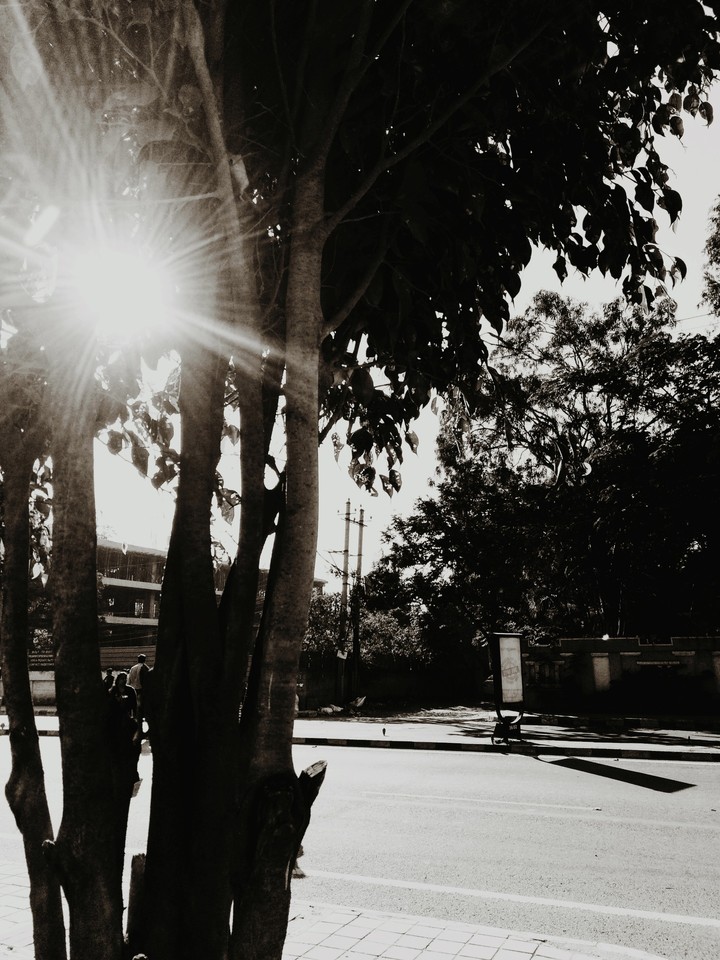 sunny day