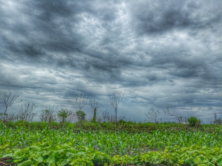 Heavily Clouded