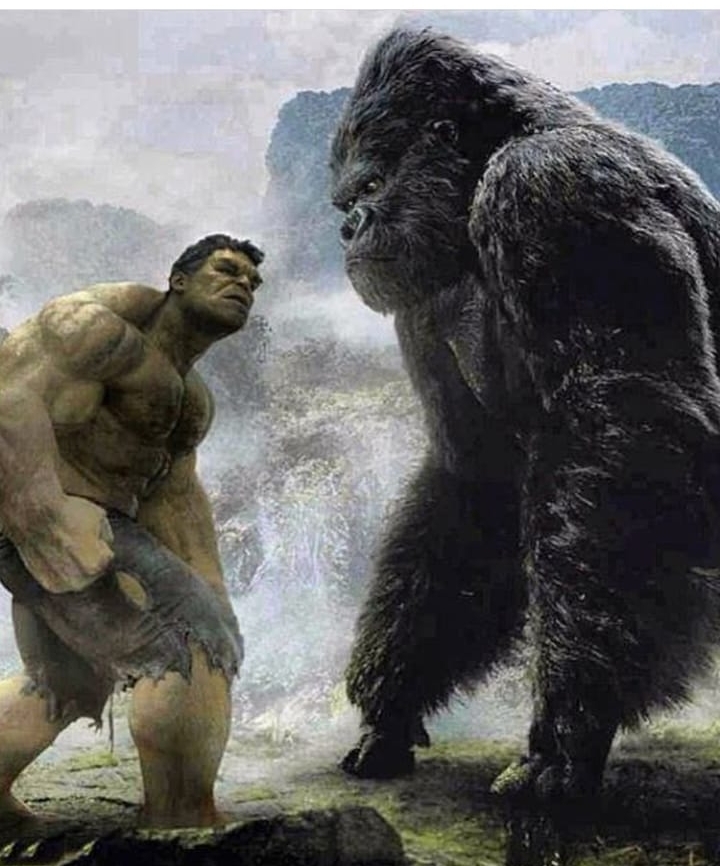 Hulk vs Kong