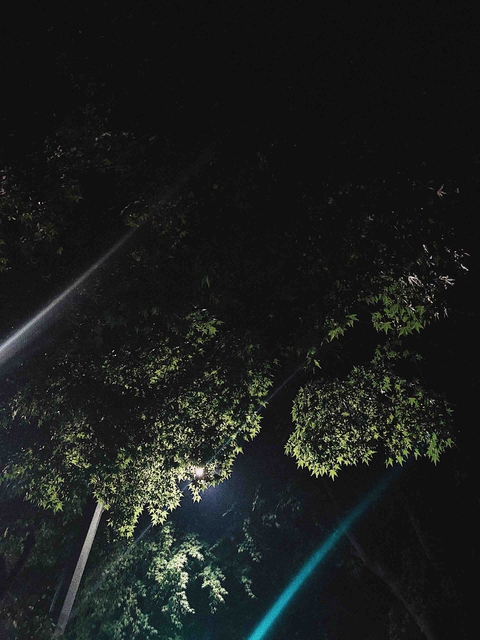 Night