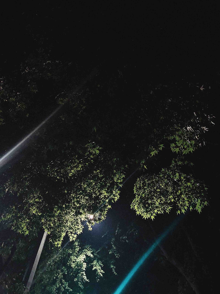 Night