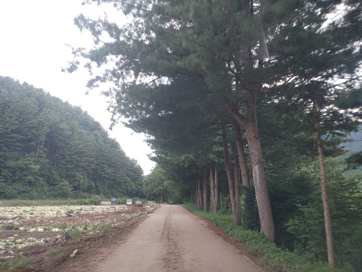산 길
