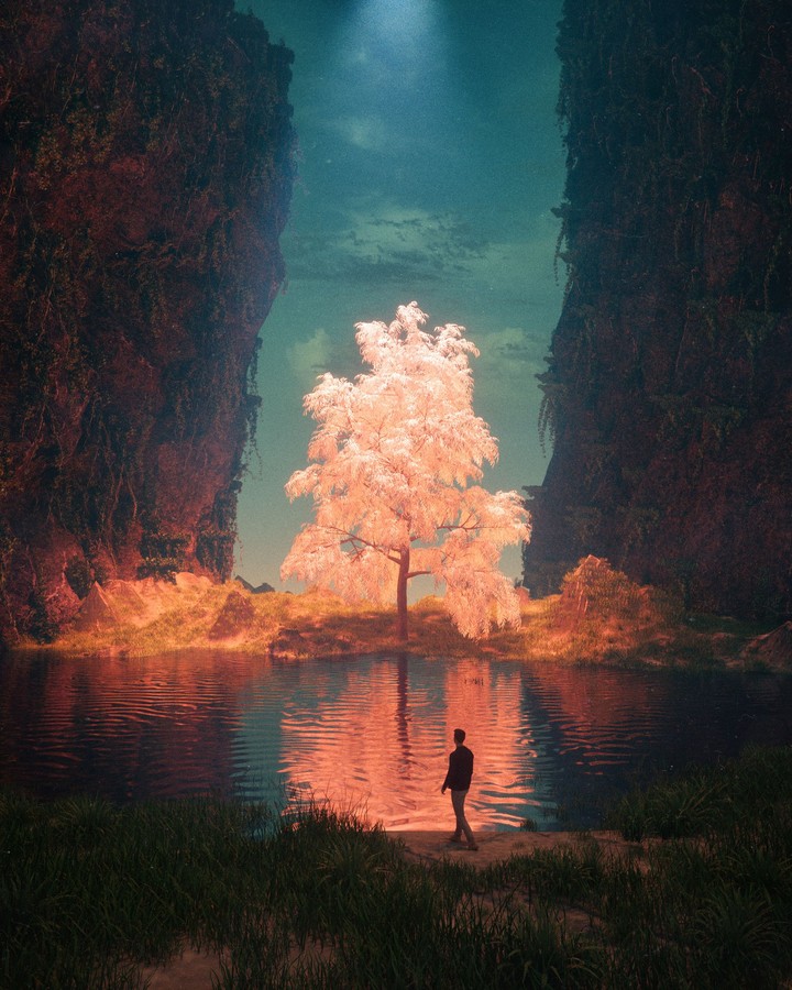 Lake Tree