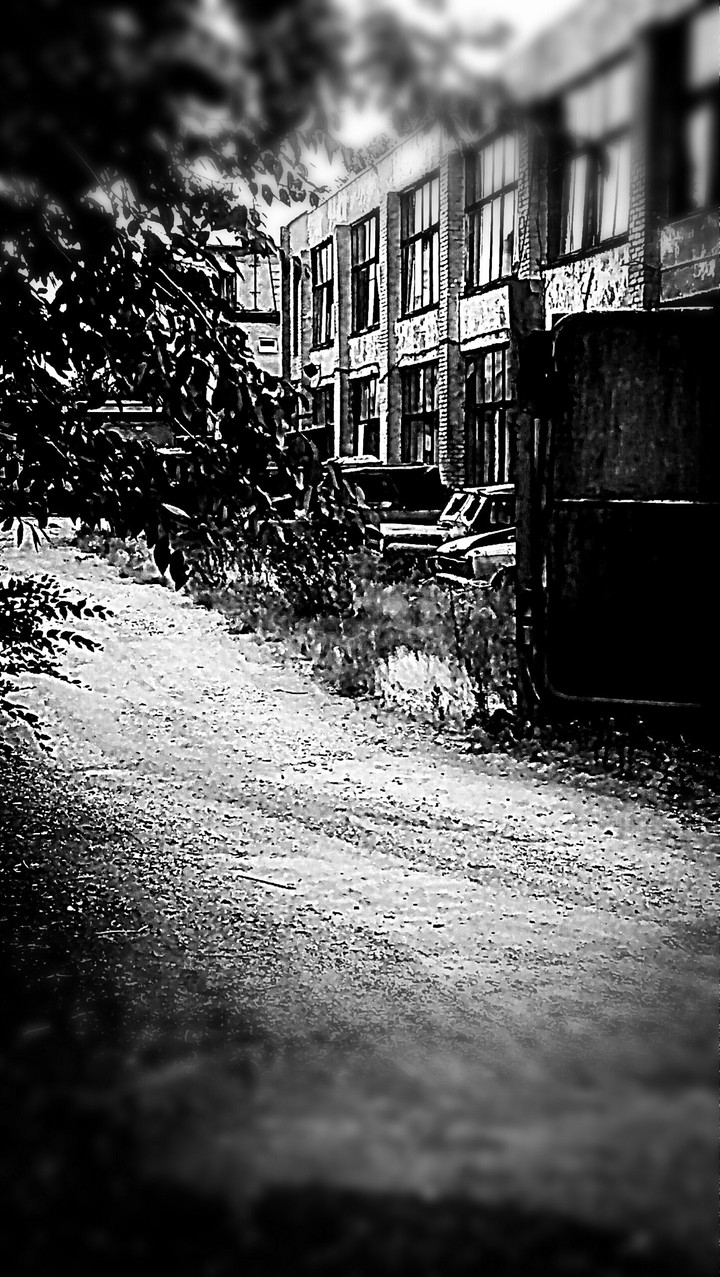 Black&Withe...