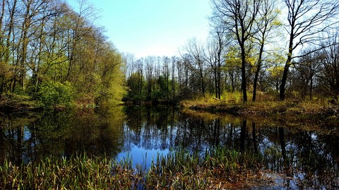 sunny day