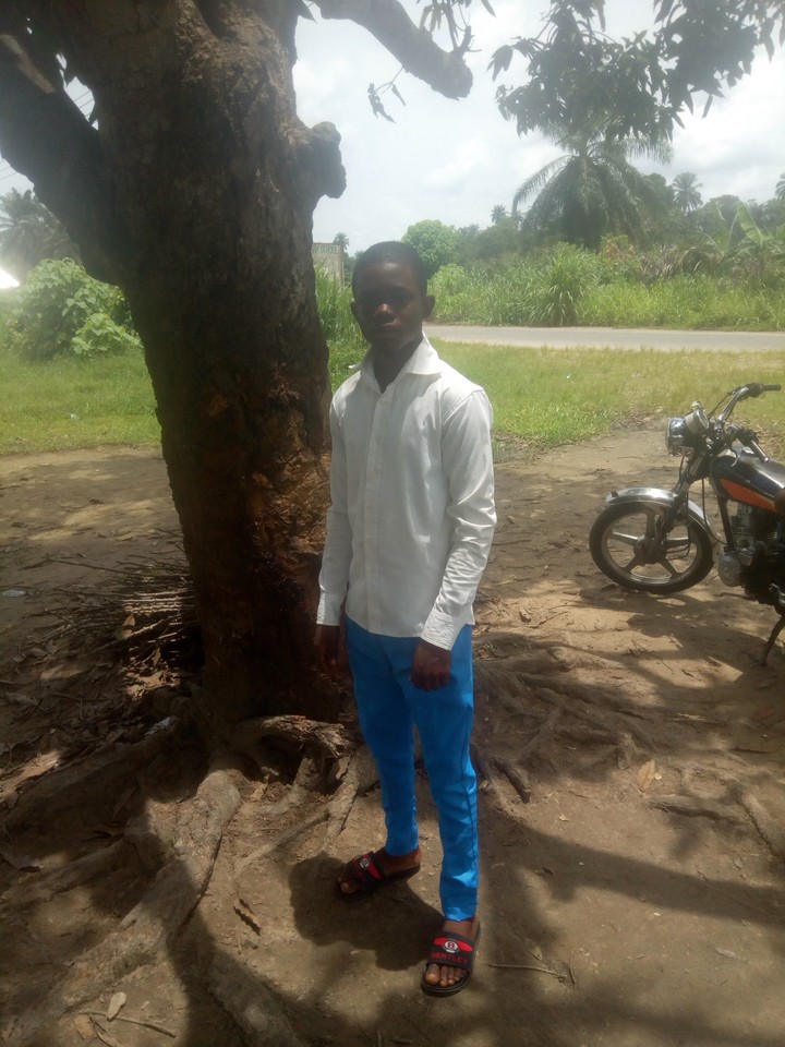 2019 waec