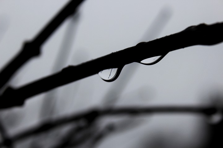 after the rain