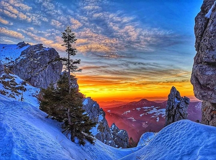 beauty...