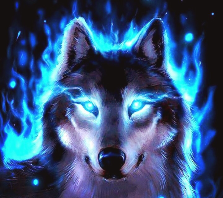 Wolf