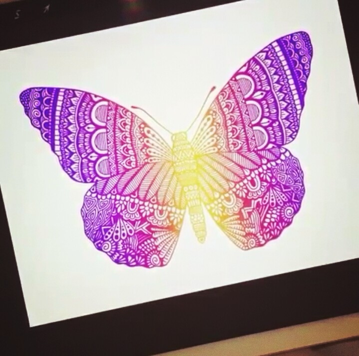butterfly