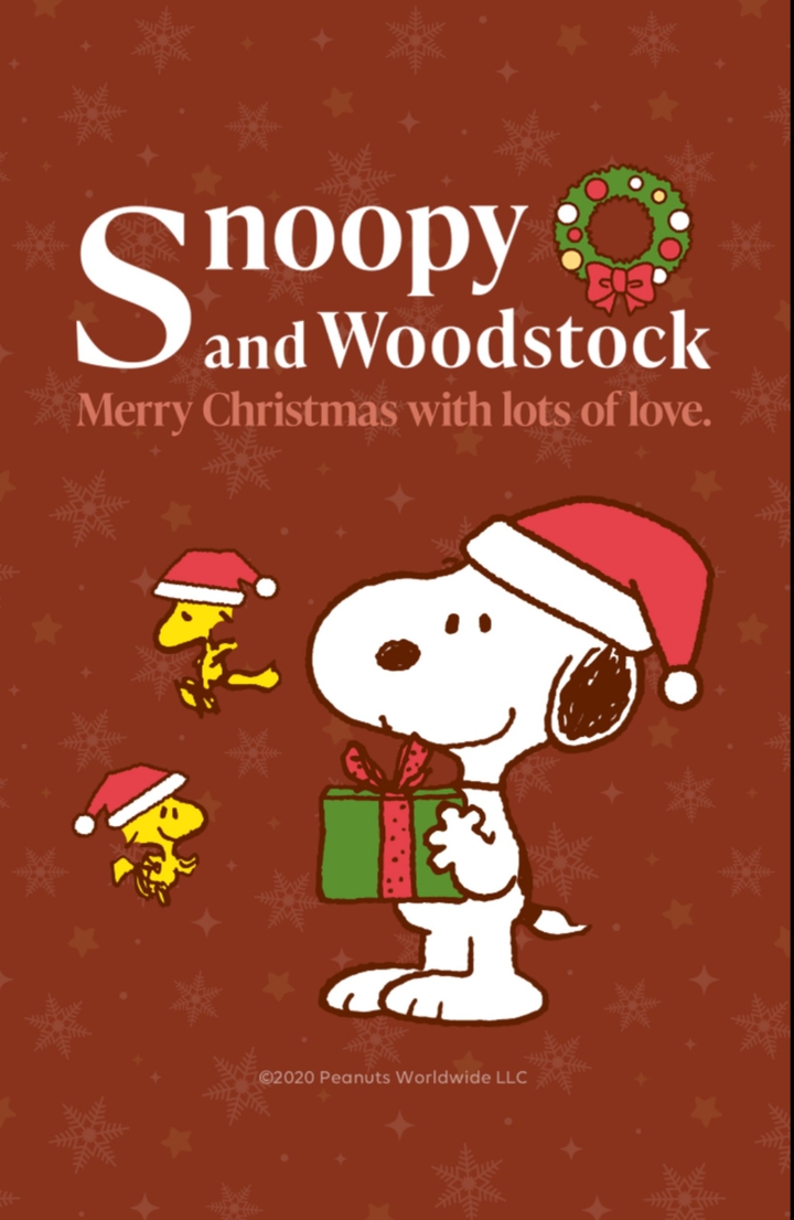 Snoopy & Woodstock Christmas