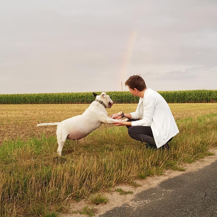 Regenbogen