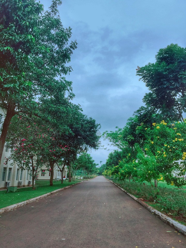 trường tôi